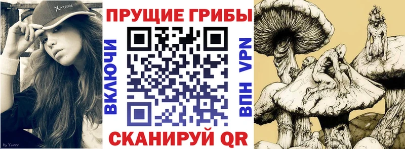 kraken зеркало  Белово  Псилоцибиновые грибы прущие грибы 